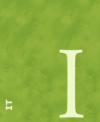 IT