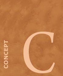 Concept